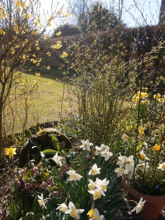 Roslin Cottage คาลเลนเดอร์ ภายนอก รูปภาพ